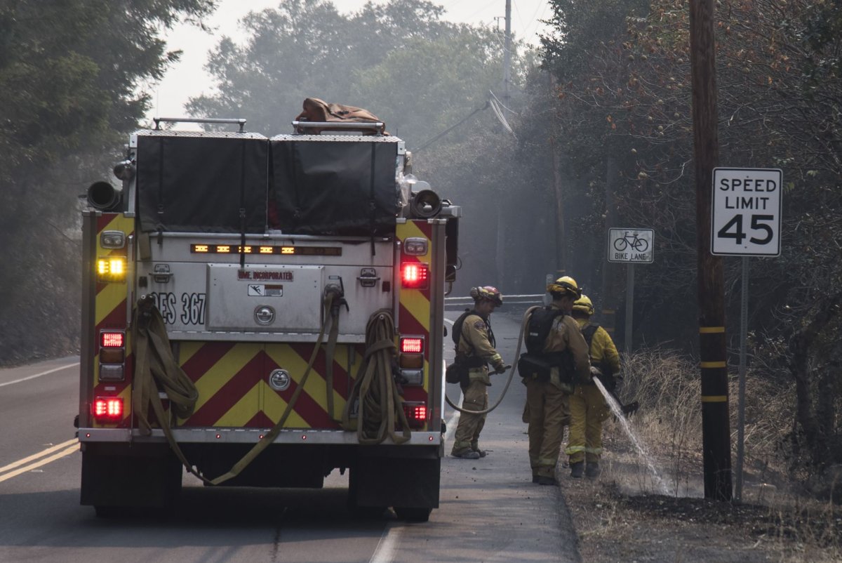 Here's how California has increased forest management and wildfire